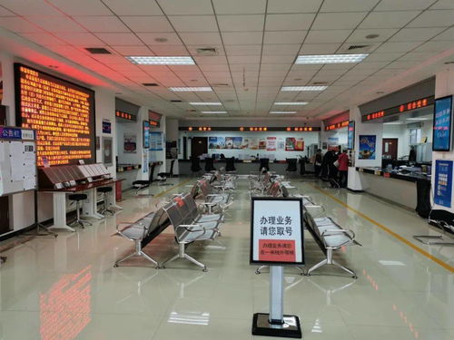 西集鎮政務服務中心推出定制版延時服務，周末可辦理經濟與商務信息咨詢
